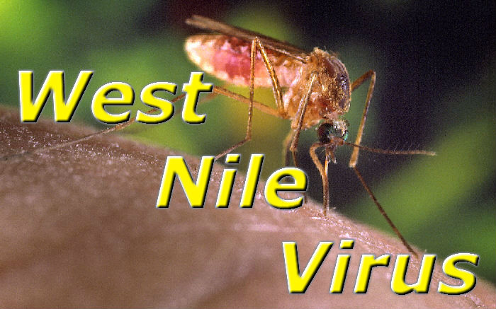 West Nile Virus Icon