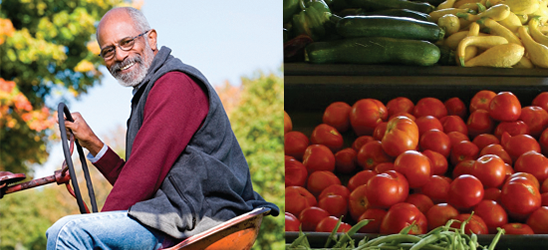 Farmer on a tractor and an image of vegetables for sale at a farmers market