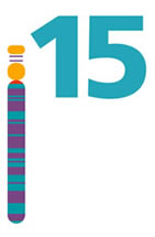 Chromosome 15