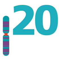 Chromosome 20