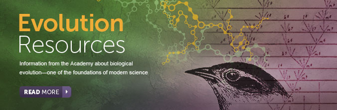 Evolution Resources - Information from the Academy about biological evolution - one of the foundations of modern science.