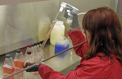 Lab technician pipetting orange liquid into flask