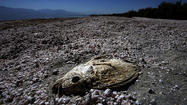 Salton Sea confirmed as source of L.A. Basin smell