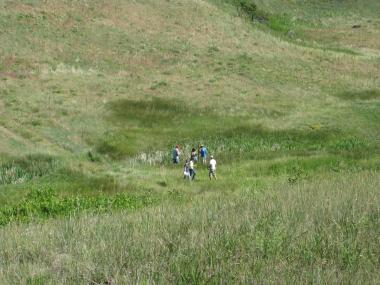 collecting samples at one of our native grassland sites