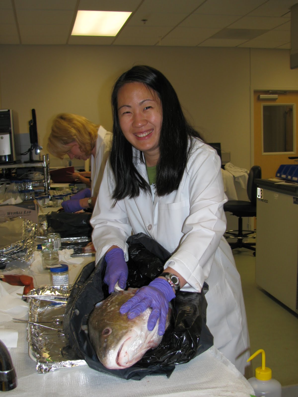 Testing a Seafood Sample