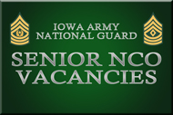 Senior Enlisted M-Day Vacancies