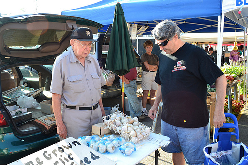 Elmer Moje sells garlic at the Tonawanda, NY farmers market.