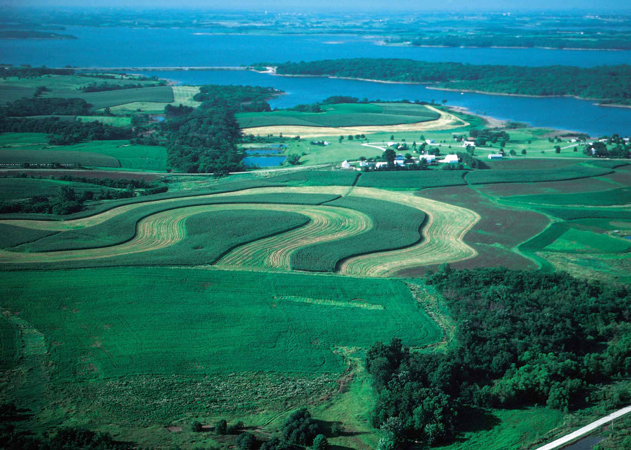 Nutrient Management