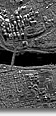 Sandia synthetic aperture radar image of Washington, DC