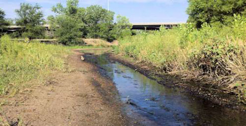 Despite Isaac, Drought Persists in Midlands