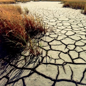 Dry, cracked streambed as a result of drought.