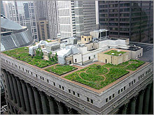 Photograph of a vegetated, green roof.