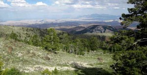 Colorado Plateau study area