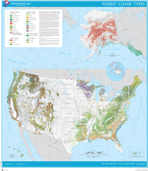 Map that shows the extent and type of forest cover in the United States.
