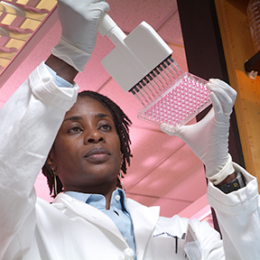 Nana Gletsu Miller researches effects of excess adipose tissue on obesity-related diseases