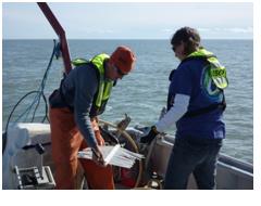 USGS researchers deploy a mini-sparker source to image seafloor sediments in the shallow Beaufort Sea near Prudhoe Bay, Alaska, August 2011. The USGS and the U.S. Department of Energy are cooperating in this work.