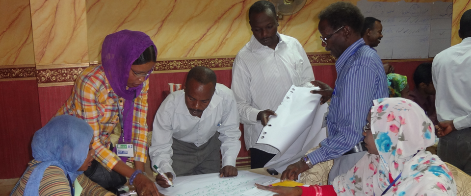 A USAID-funded Sudanese Initiative for Constitution Making provides a forum for diverse civil society groups