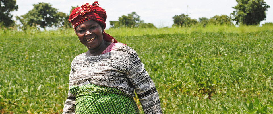 Azaratu Fushieni walks through her soy field. She has benefited from the assistance of USAID/Ghana's Agricultural Development an