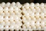 Some of the thousands of eggs produced each day by caged hens are stacked up at an egg farm in San Diego County in this picture taken July 29, 2008. REUTERS/Mike Blake