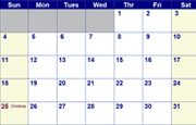 NAS Fort Worth JRB Base Calendar