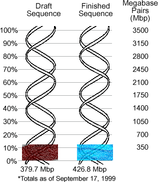 Sequencing Progress