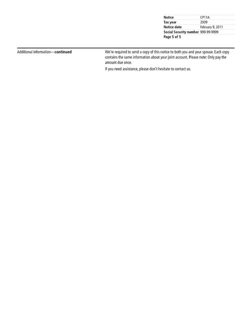 Image of page 5 of a printed IRS CP11A Notice