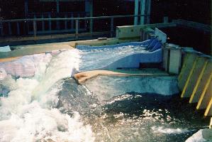 Hydraulic Model of Bartlett Dam