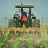 Tractor in field