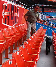 Doug and Ostermann patrolling the stadium.