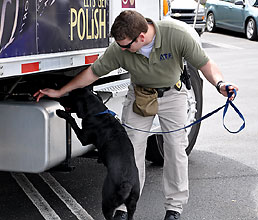 A handler and his canine inspect incoming delivery trucks.