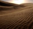 Imperial Sand Dunes. Photo credits: Imperial Valley Press (used with permission)