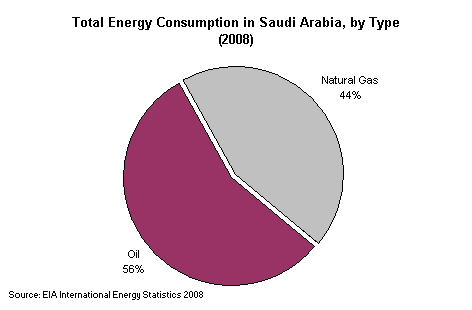 Total Energy Consumption by Type 2008