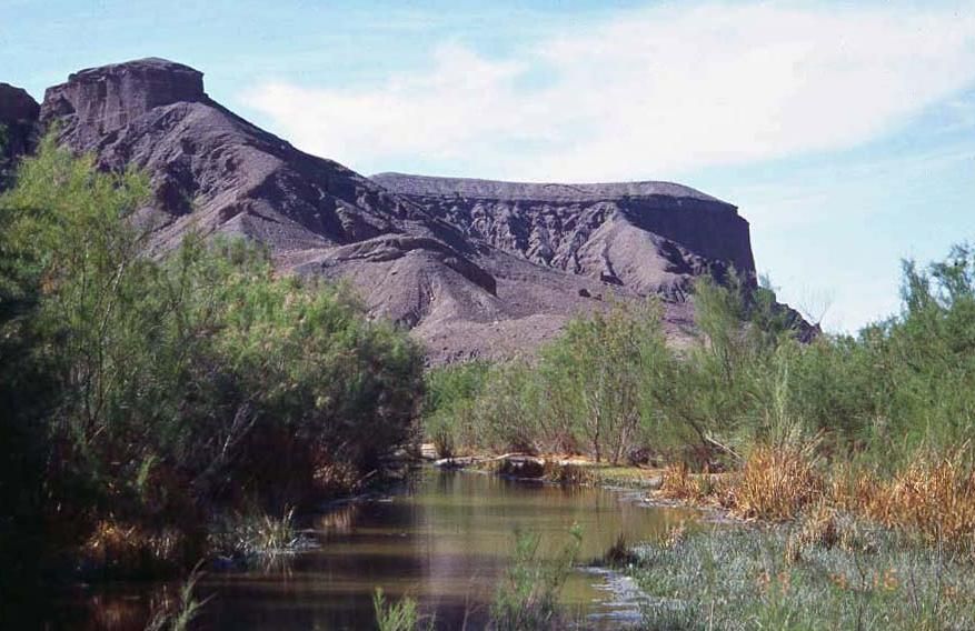 Amagrosa River Natural Area