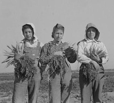 Mexican farm workers, 1939
