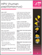 HPV (human papillomavirus) - Fact Sheet