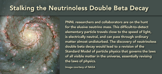 Stalking the Neutrinoless Double Beta Decay