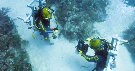Image of two aquanauts mapping the coral reef.