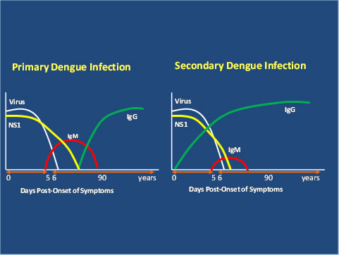 image: showing comparison between primary and seconcary infections