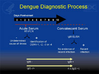 Image of Dengue Diagnostic Process