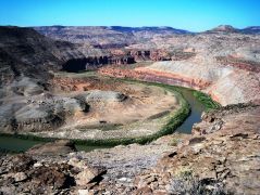 Learn More about the Dominguez-Escalante National Conservation Area!