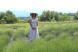 Lavender fields on Lockwood Farm in Skaneateles, New York.