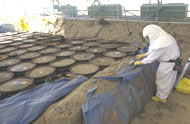 Hanford Waste Tanks