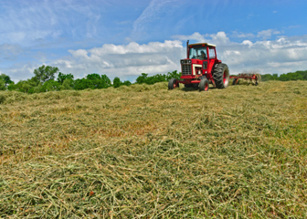 Agricultural workers