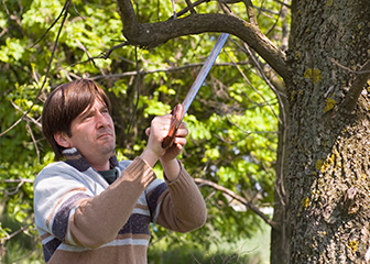 Forest and conservation technicians