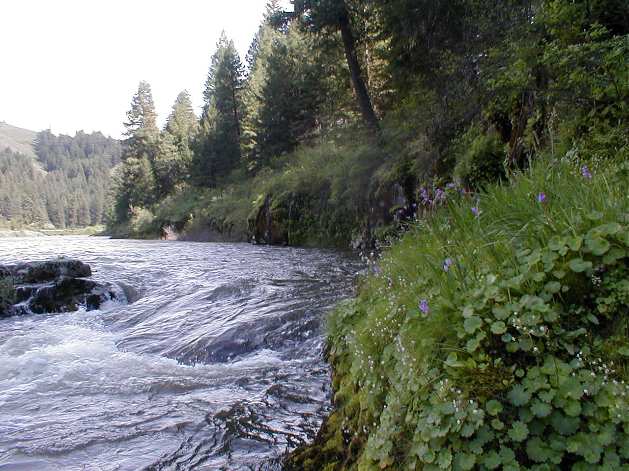 Wallowa and Grande Ronde Wild and Scenic Rivers