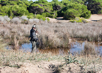 Zoologists and wildlife biologists