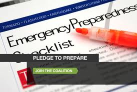 emergency preparedness checklist image