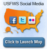 Social Media Map