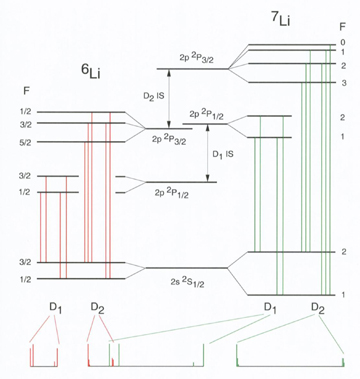 High-precision measurements of the D1 and D2 transition lines in the two stable isotopes of lithium. 