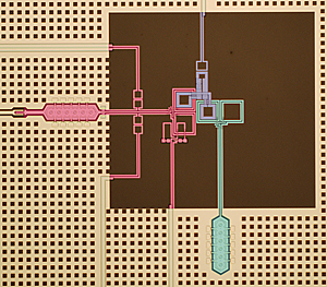 colorized micrograph of superconducting circuit